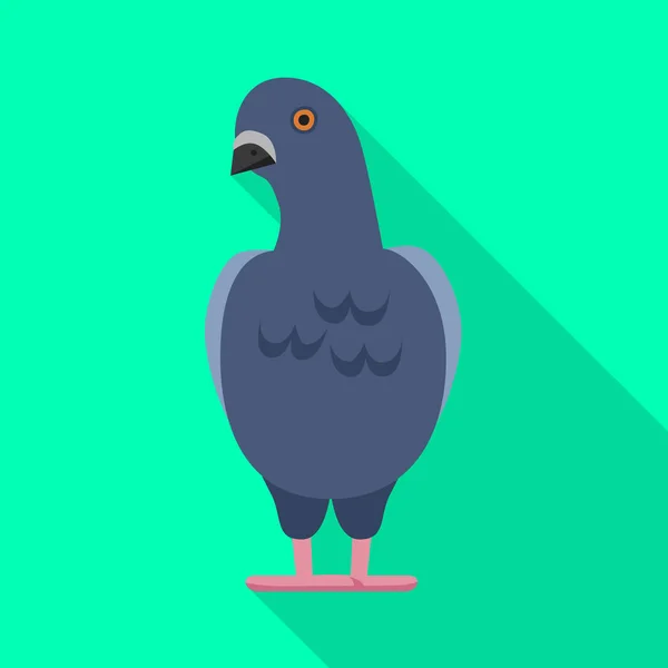 Pigeon vektorová ikona.Plochá vektorová ikona izolované na bílém pozadí holuba. — Stockový vektor