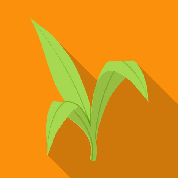 Şekerkamışı vektör simgesi yaprakları. Şekerkamışı yaprakları üzerinde izole edilmiş düz vektör simgesi. . — Stok Vektör