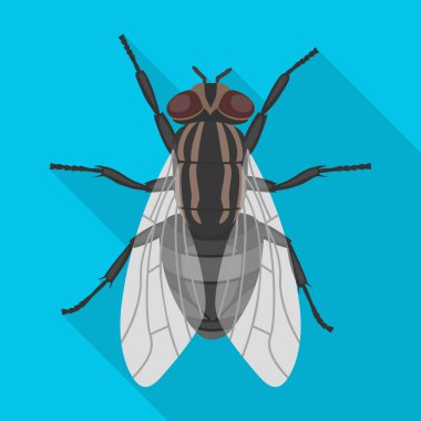 Böcek uçuş vektör simgesi. Düz vektör simgesi beyaz arkaplan böceği sineğinde izole edildi.