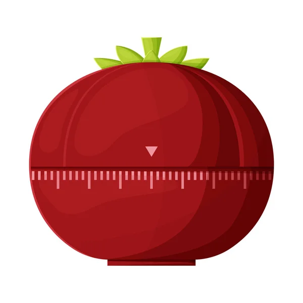 Vector illustration of timer and tomato sign. Graphic of timer and clock vector icon for stock. — 图库矢量图片