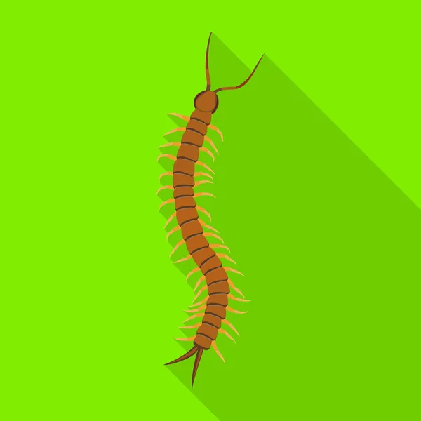 Centipede vector icon.Flat vector icon isolated on white background centipede . — Stock Vector