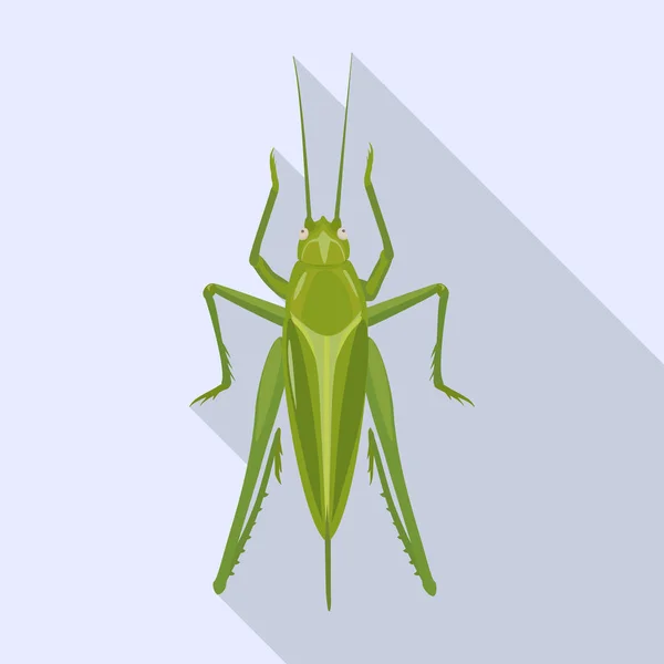 Icono de vector Grasshopper. Icono de vector plano aislado en saltamontes de fondo blanco . — Vector de stock