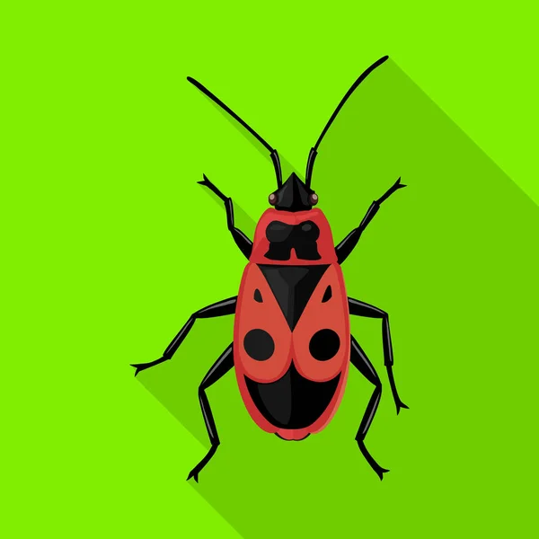 Insect firefly vector icon.Flat vector icon isolated on white background insect firefly . — Stock Vector