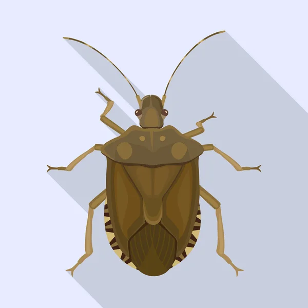 Böcek kokusu vektör simgesi. Düz vektör simgesi beyaz arkaplan böceği kokusunda izole edildi. — Stok Vektör
