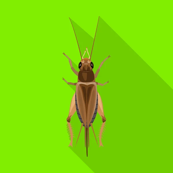 Grasshopper Vektor icon.Flat Vektor icon isoliert auf weißem Hintergrund Heuschrecke. — Stockvektor