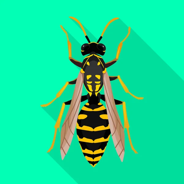 Ícone vetorial de vespa de inseto.Ícone vetorial plano isolado na vespa de inseto de fundo branco  . — Vetor de Stock