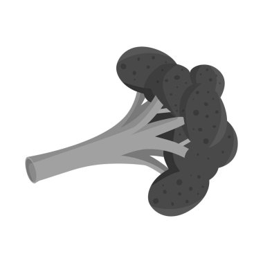 Brokoli ve yeşil ikonun vektör tasarımı. Stok için brokoli ve ürün vektör simgesi kümesi.