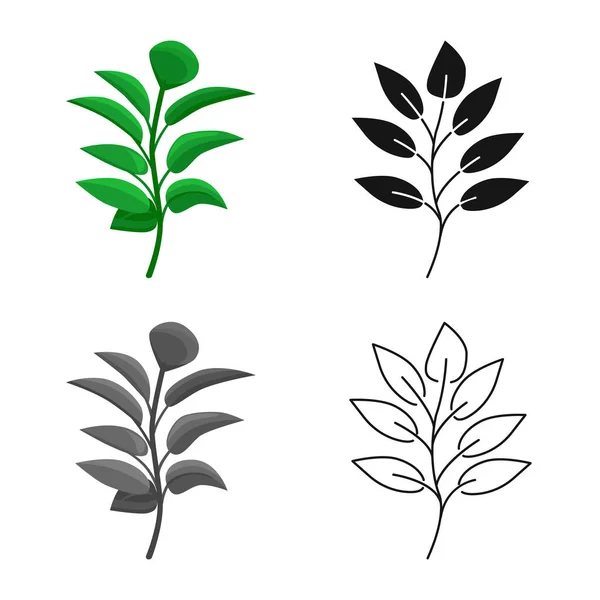 Projeto vetorial do logotipo da folha e do café. Coleção de folha e ícone de vetor de planta para estoque . —  Vetores de Stock