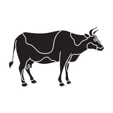 İnek vektör simgesi. Siyah vektör simgesi beyaz arkaplan ineğinde izole edildi.