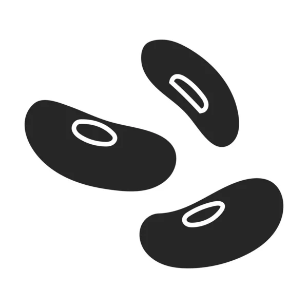 Bean vector icon.Black vector icon isolated on white background bean. — Stockvektor