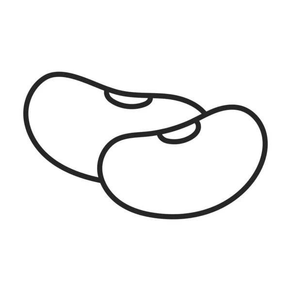 Bean vetor icon.Outline vetor ícone isolado no feijão de fundo branco . — Vetor de Stock