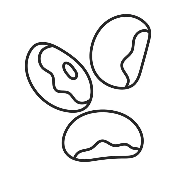 Bean vetor icon.Outline vetor ícone isolado no feijão de fundo branco . — Vetor de Stock