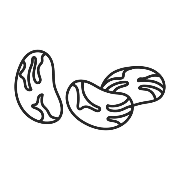 Bean vetor icon.Outline vetor ícone isolado no feijão de fundo branco . —  Vetores de Stock