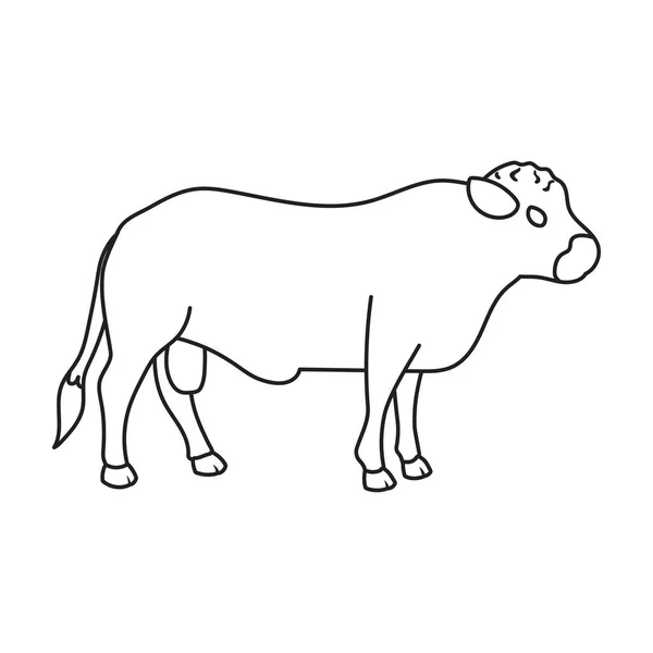 Ícone vetorial Bull vetor icon.Outline isolado no touro fundo branco . — Vetor de Stock