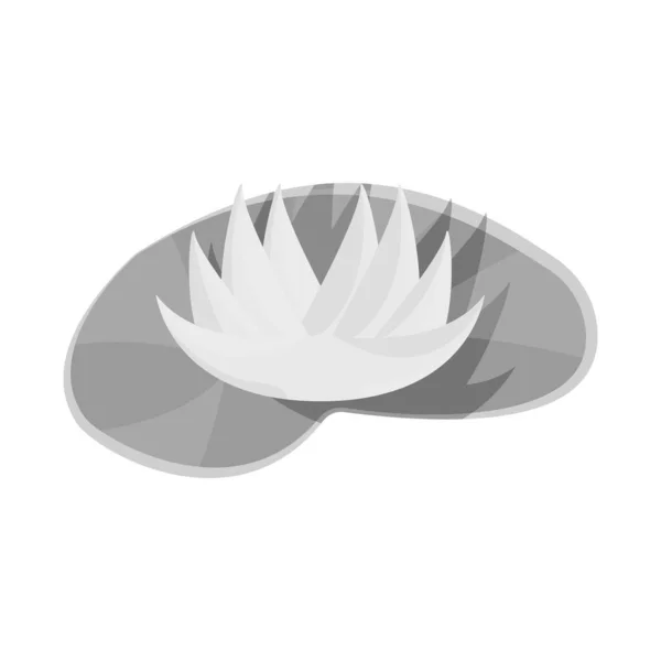 Ilustração vetorial do logotipo de flor e lótus. Conjunto de flor e folha símbolo de estoque para web . — Vetor de Stock