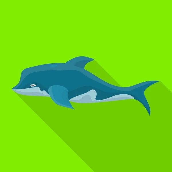 Dolphin vector icon.Flat vector icon isolated on white backgroun dolphin. — 스톡 벡터