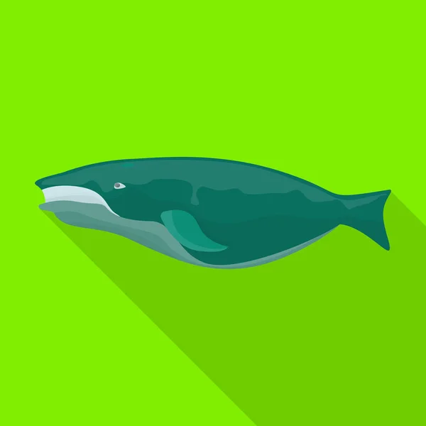 Whale vector icon.Flat vector icon isolated on white background whale. — Stockvector