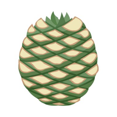 Vector design of agave and tequila icon. Web element of agave and blue vector icon for stock.