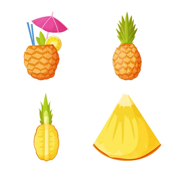 Objet isolé de symbole d'ananas et de fruits. Ensemble d'ananas et icône vectorielle alimentaire pour stock . — Image vectorielle