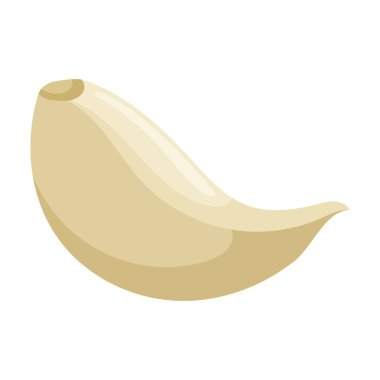 Clove of garlic vector icon.Cartoon vector icon isolated on white background clove of garlic .