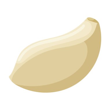 Clove of garlic vector icon.Cartoon vector icon isolated on white background clove of garlic .