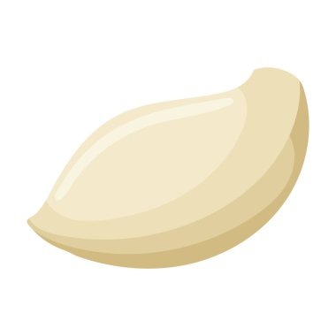 Clove of garlic vector icon.Cartoon vector icon isolated on white background clove of garlic .