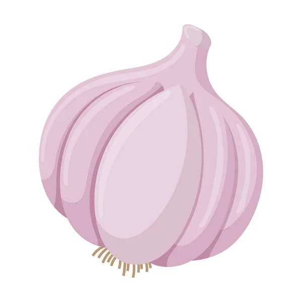 Garlic vector icon.Cartoon vector icon isolated on white background garlic . — 스톡 벡터