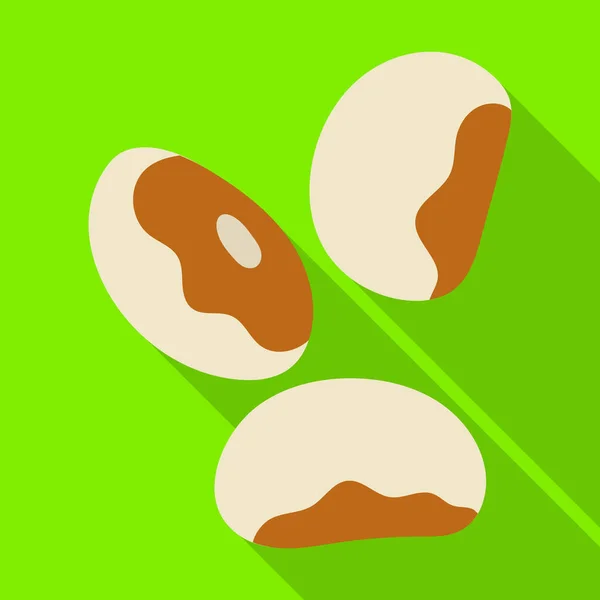 White bean vector icon.Flat vector icon isolated on white background white bean. — Stock vektor