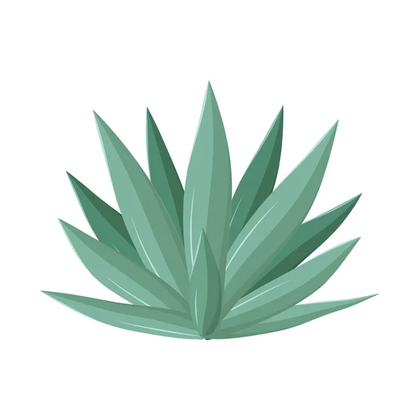 Ilustração vetorial do logotipo do agave e da tequila. Gráfico de agave e ilustração de vetor de estoque azul . —  Vetores de Stock