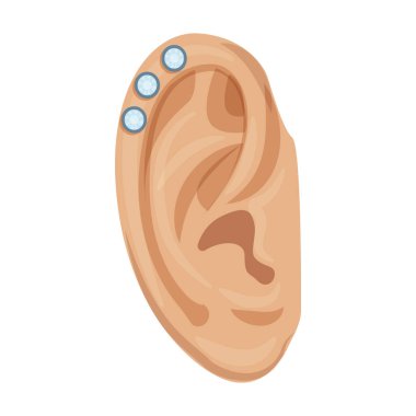 Kulak vektörü simgesinin delinmesi. Karikatür vektör simgesi kulağın beyaz arka planında izole edilmiş. .