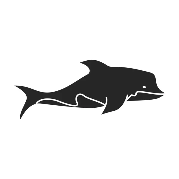 Dolphin vector icon.Black vector icon isolated on white backgroun dolphin. — Stock Vector