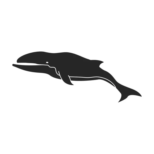 Иконка вектора горбатого кита. Черный вектор значок изолирован на белом фоне горбатого кита  . — стоковый вектор