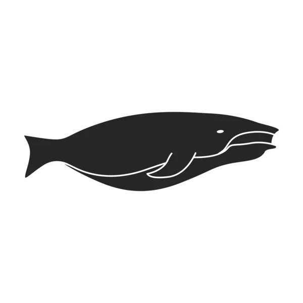 Icono de vector de ballena. Icono de vector negro aislado en ballena de fondo blanco . — Vector de stock