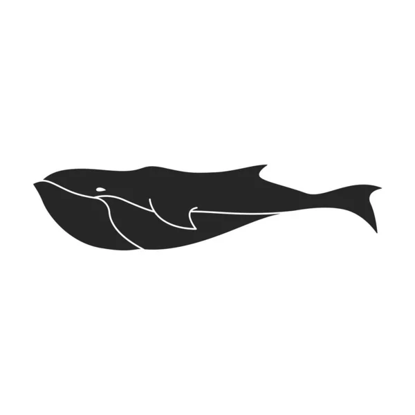Icône de vecteur de sperme de baleine Icône de vecteur noir isolé sur fond blanc sperme de baleine . — Image vectorielle