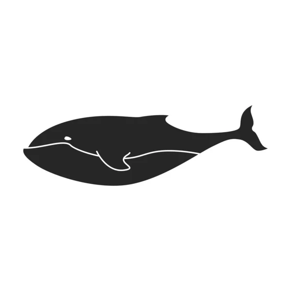 Blue whale vector icon.Black vector icon isolated on white background blue whale. — Stock Vector