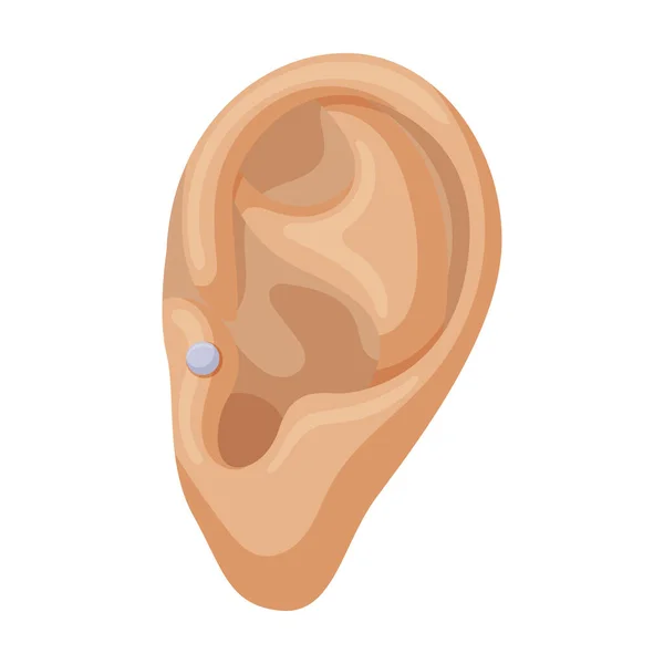 Piercing fül vektor ikon.Rajzfilm vektor ikon elszigetelt fehér háttér piercing fül . — Stock Vector