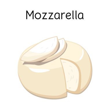 İzole edilmiş peynir ve mozzarella ikonu. Peynir ve parça vektör illüstrasyonunun web ögesi.