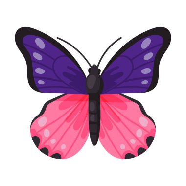 Kelebek vektör simgesi. Çizgi film vektör simgesi beyaz arka plan kelebeğinde izole edildi .