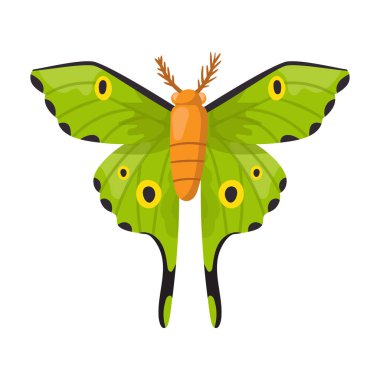 Kelebek vektör simgesi. Çizgi film vektör simgesi beyaz arka plan kelebeğinde izole edildi .