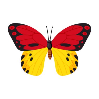 Kelebek vektör simgesi. Çizgi film vektör simgesi beyaz arka plan kelebeğinde izole edildi .