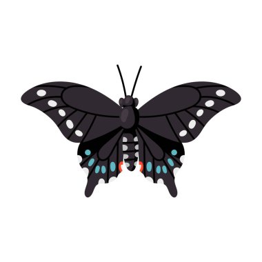 Kelebek vektör simgesi. Çizgi film vektör simgesi beyaz arka plan kelebeğinde izole edildi .