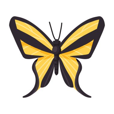 Kelebek vektör simgesi. Çizgi film vektör simgesi beyaz arka plan kelebeğinde izole edildi .