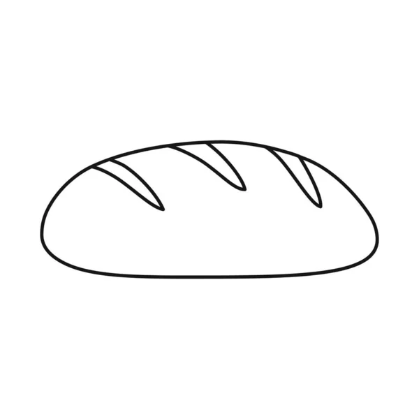 Vektorillustrasjon av brød og matskilt. Sett med illustrasjon av vektorstørrelse for brød og flettverk . – stockvektor