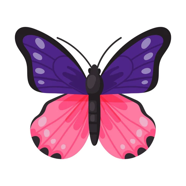 Butterfly vektorová ikona.Cartoon vektorová ikona izolované na bílém pozadí motýla . — Stockový vektor