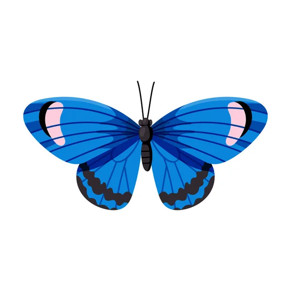 Icono de vector de mariposa. Icono de vector de dibujos animados aislado en fondo blanco mariposa  . — Vector de stock