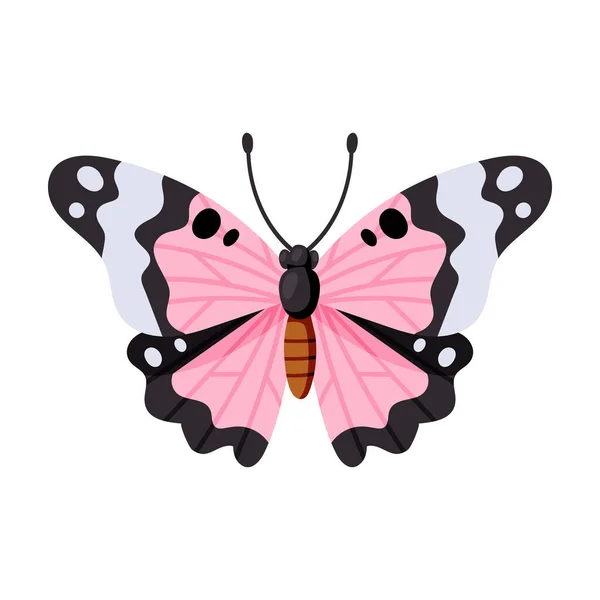 Иконка вектора бабочки. Иконка вектора карикатуры изолирована на белом фоне бабочки  . — стоковый вектор