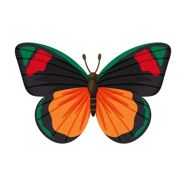 Ícone vetorial borboleta icon.Cartoon vetor isolado no fundo branco borboleta  . —  Vetores de Stock