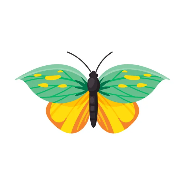 Icono de vector de mariposa. Icono de vector de dibujos animados aislado en fondo blanco mariposa  . — Vector de stock