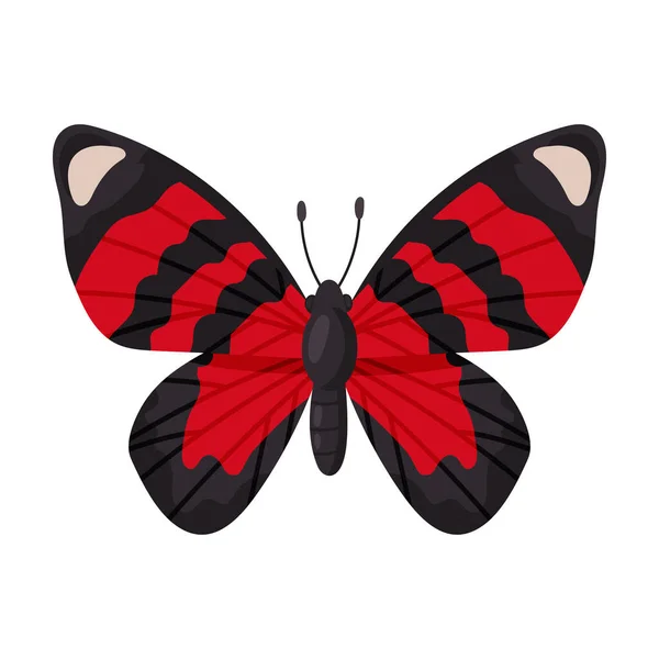 Schmetterling Vektor icon.cartoon Vektor-Symbol isoliert auf weißem Hintergrund Schmetterling . — Stockvektor
