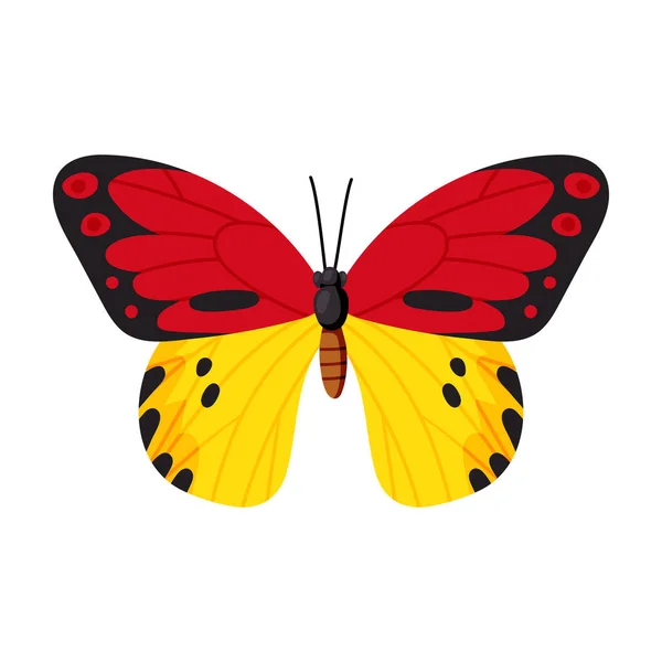 Icono de vector de mariposa. Icono de vector de dibujos animados aislado en fondo blanco mariposa  . — Vector de stock